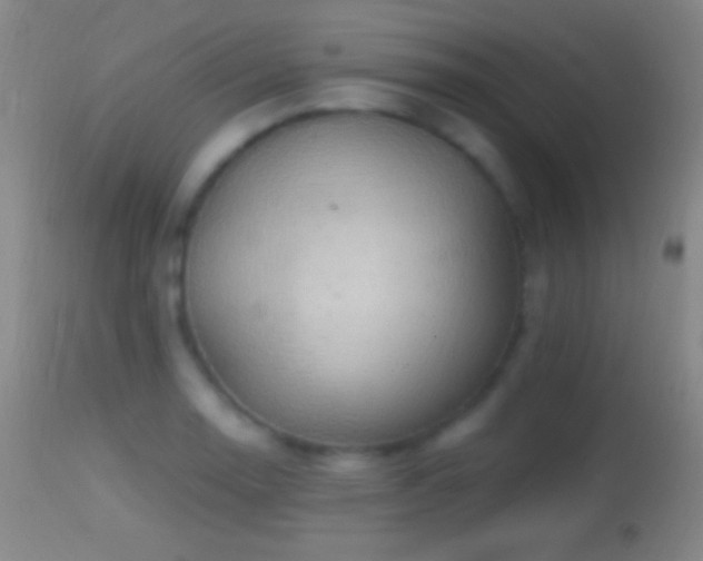 X0000114651130200910201502