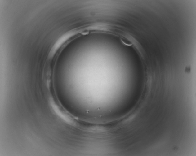 X0000114651131200910201502