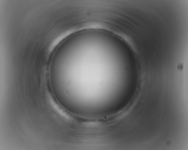 X0000114651134200910201502