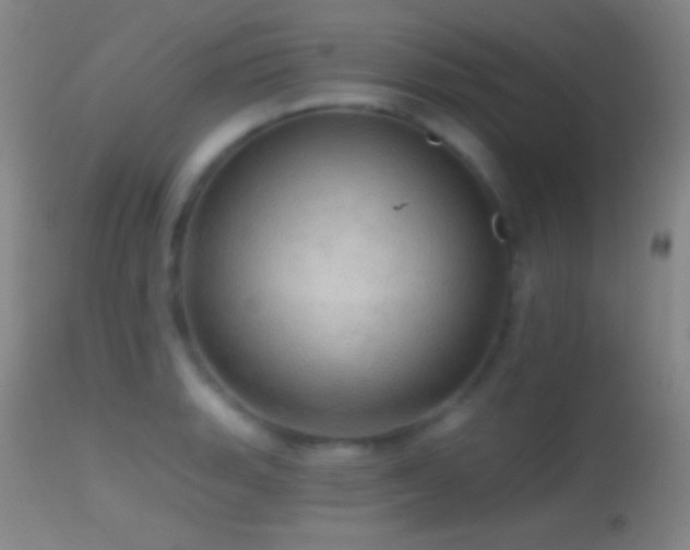 X0000114651135200910201502