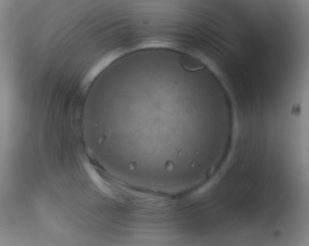 X0000114651137200910201502