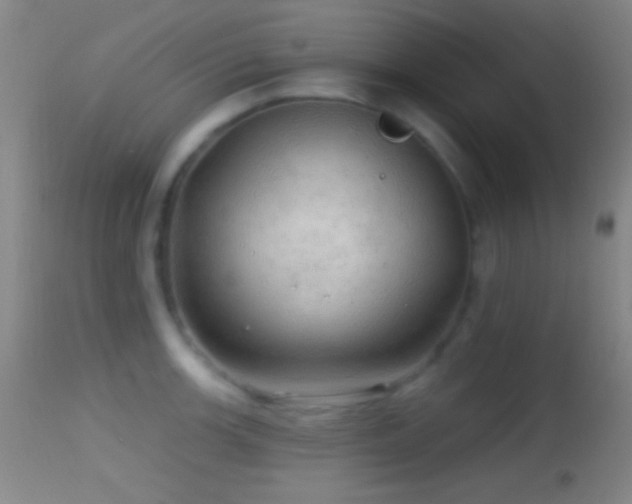 X0000114651139200910201502