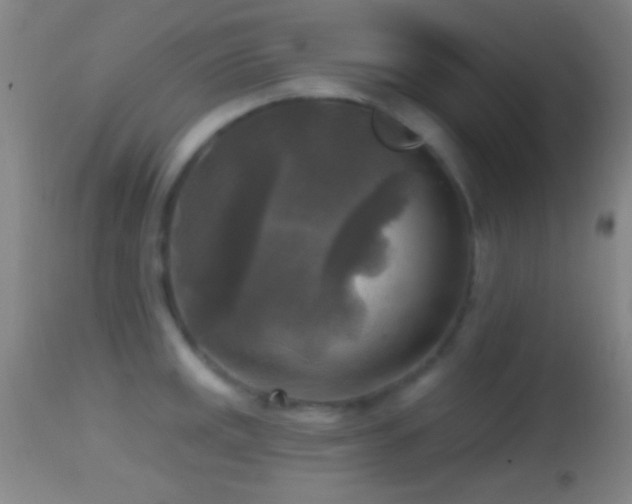 X0000114651141200910201503