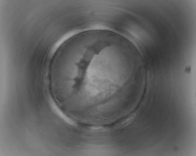 X0000114651142200910201503