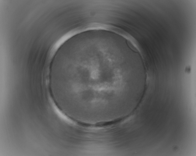 X0000114651143200910201503