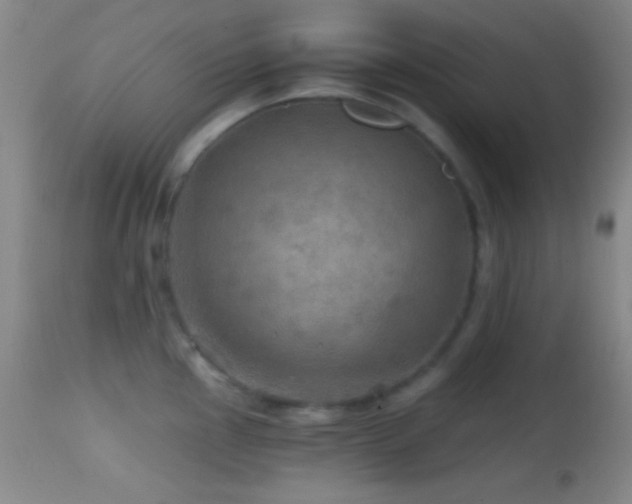 X0000114651145200910201503