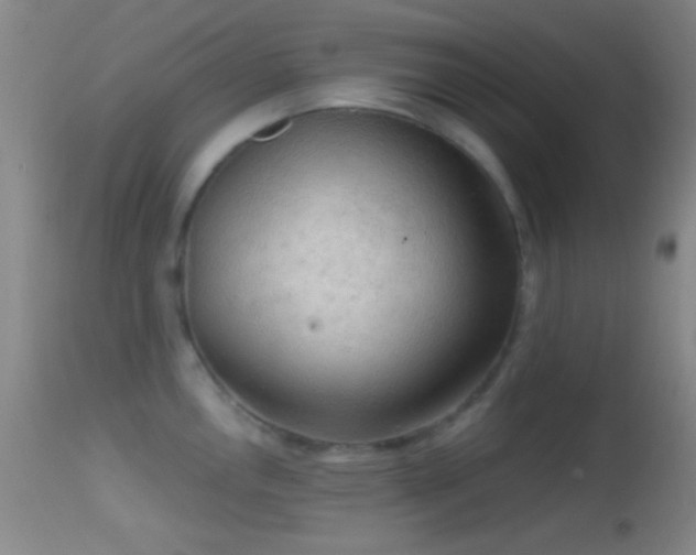 X0000114651146200910201503