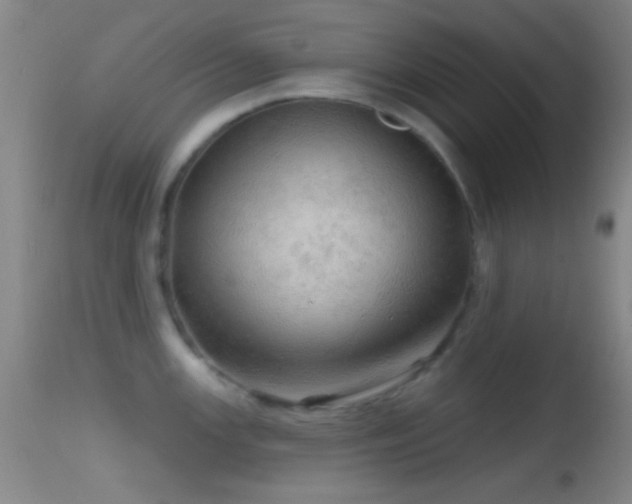 X0000114651147200910201503