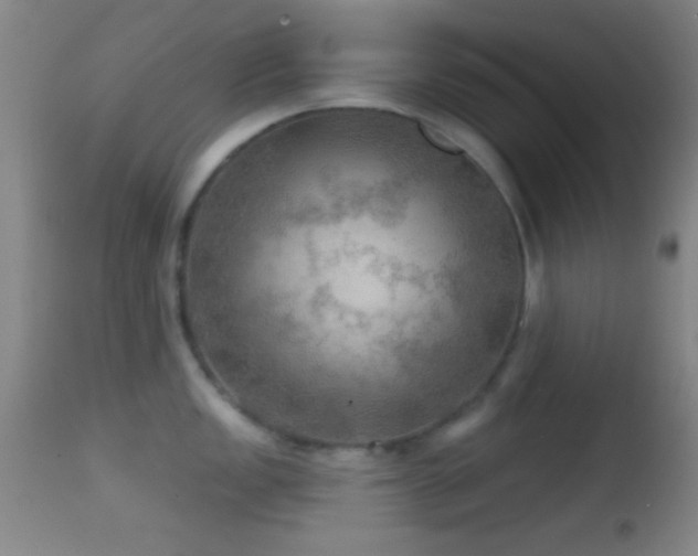 X0000114651149200910201503