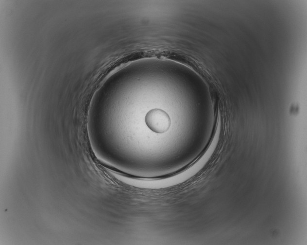 X0000114651153200910201502