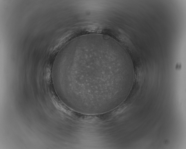 X0000114651154200910201502
