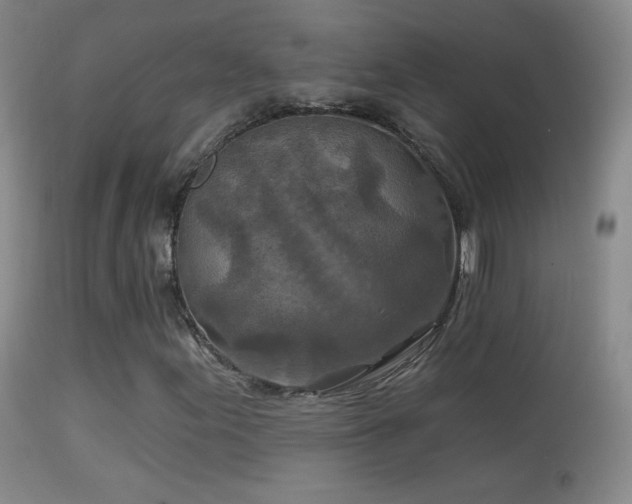 X0000114651155200910201502