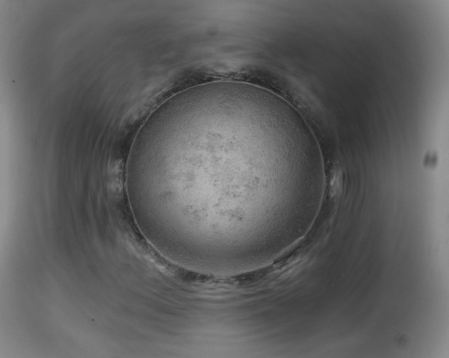 X0000114651156200910201502