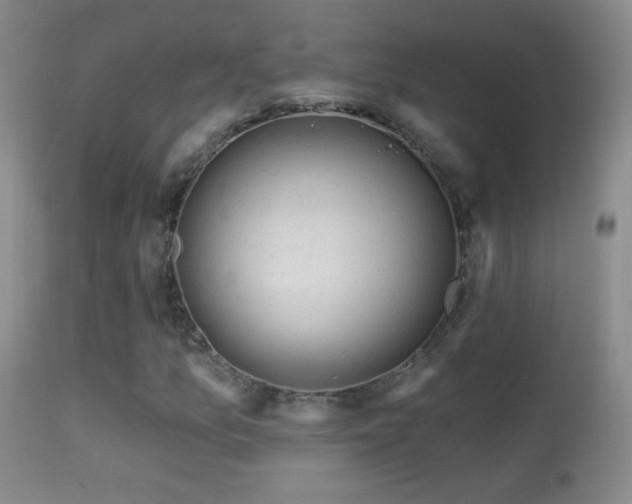 X0000114651157200910201502