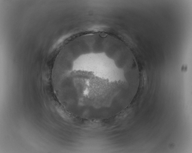 X0000114651158200910201502