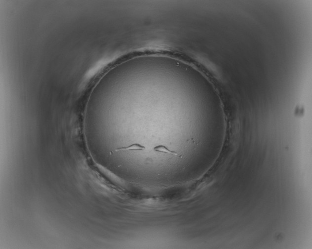X0000114651160200910201502