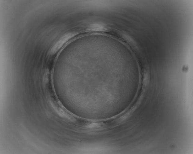 X0000114651161200910201502