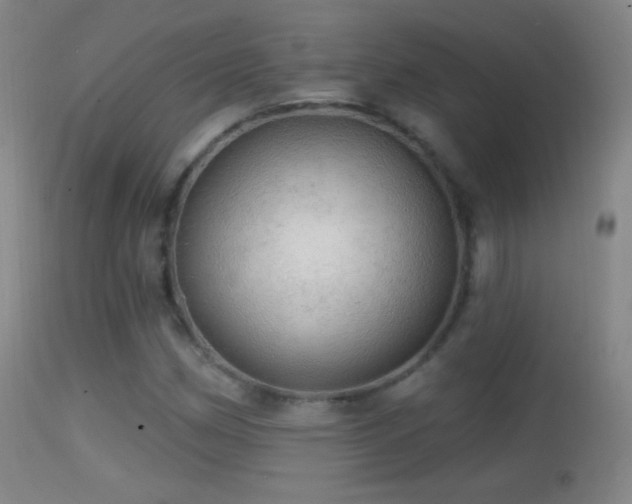 X0000114651162200910201502