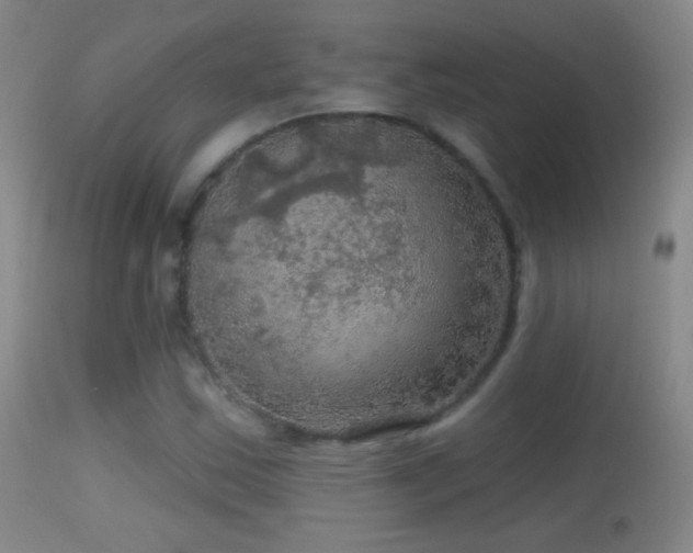 X0000114651163200910201502
