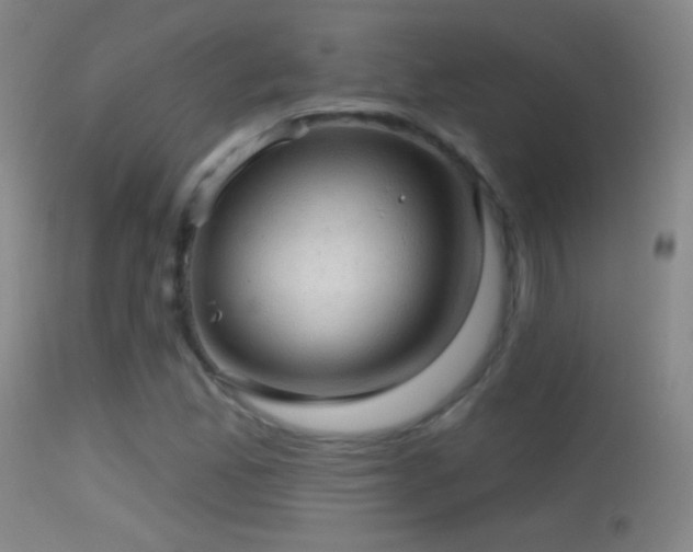 X0000114651165200910201502