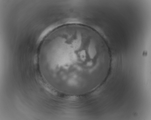 X0000114651167200910201502