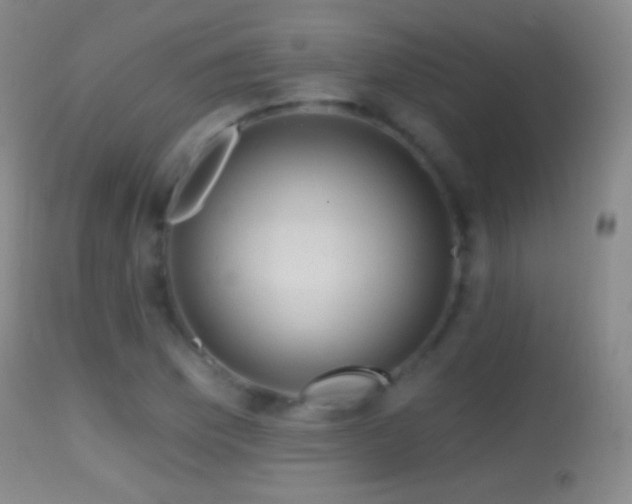 X0000114651169200910201502