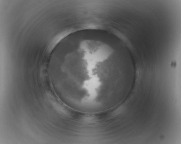 X0000114651170200910201502