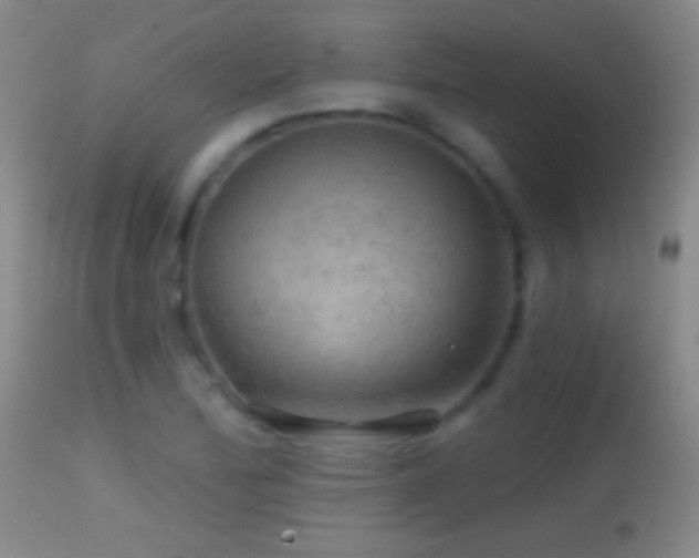 X0000114651172200910201502