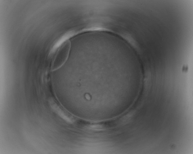 X0000114651173200910201502