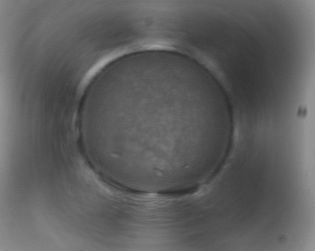 X0000114651174200910201502