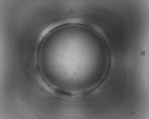 X0000114651176200910201502
