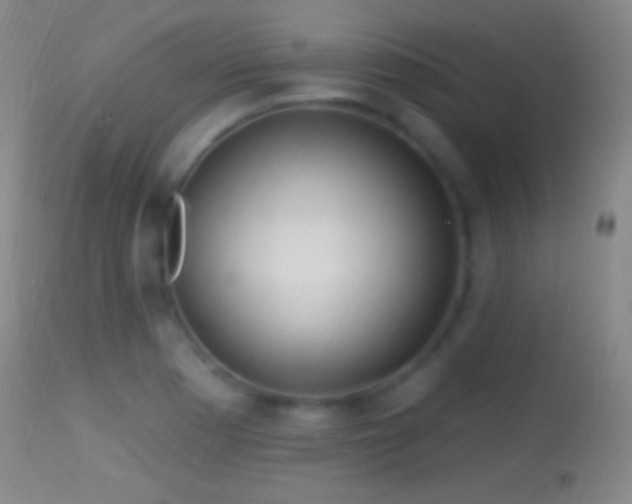 X0000114651177200910201502