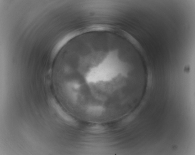 X0000114651178200910201502