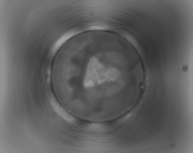 X0000114651179200910201502