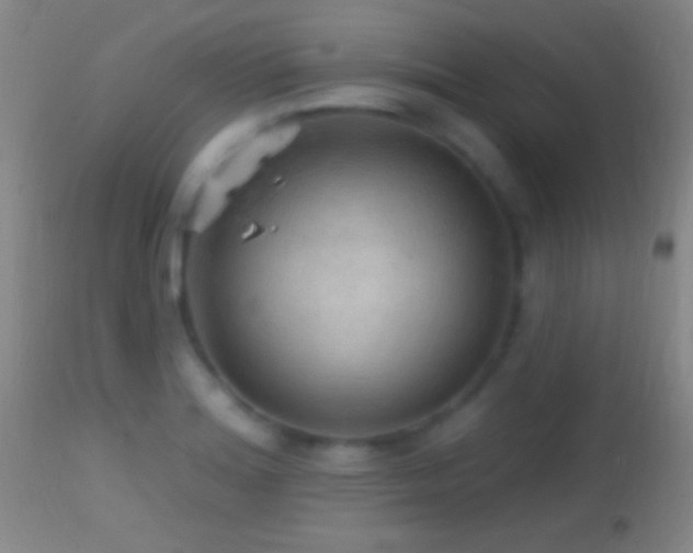 X0000114651180200910201502