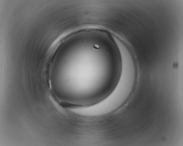 X0000114651181200910201502