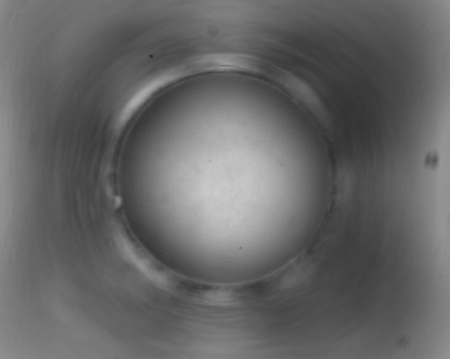 X0000114651182200910201502