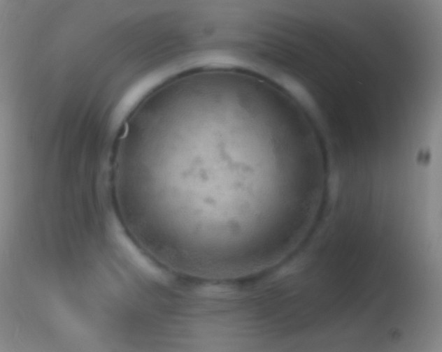 X0000114651183200910201502