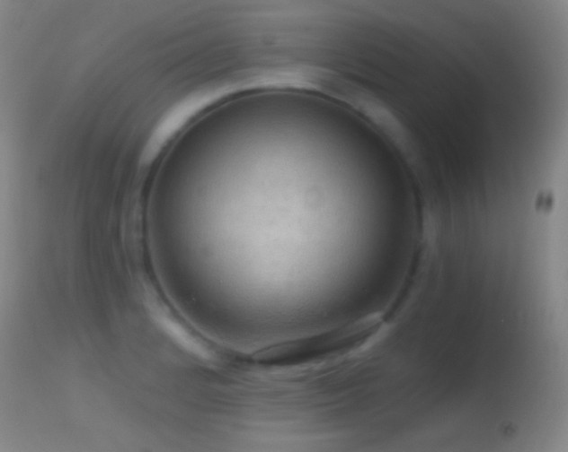 X0000114651184200910201502