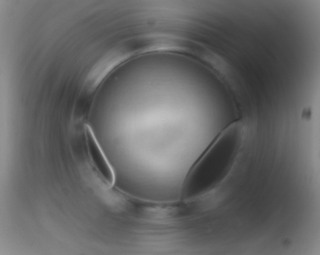 X0000114651185200910201502
