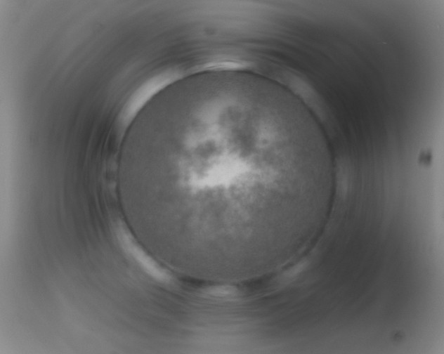 X0000114651186200910201502