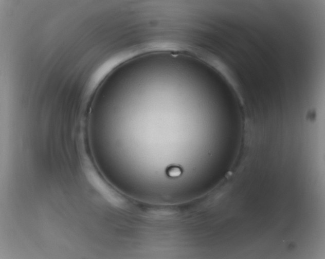 X0000114651187200910201502