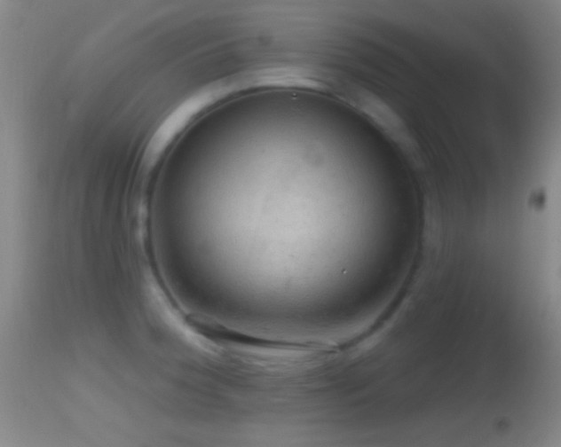 X0000114651188200910201502