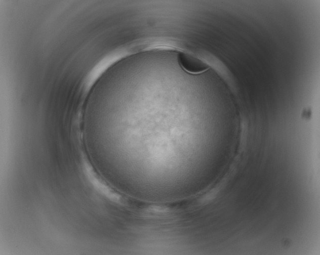 X0000114651190200910201501