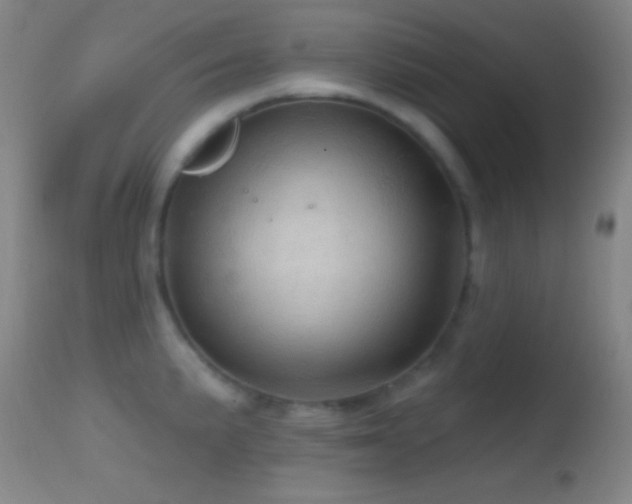 X0000114651191200910201501