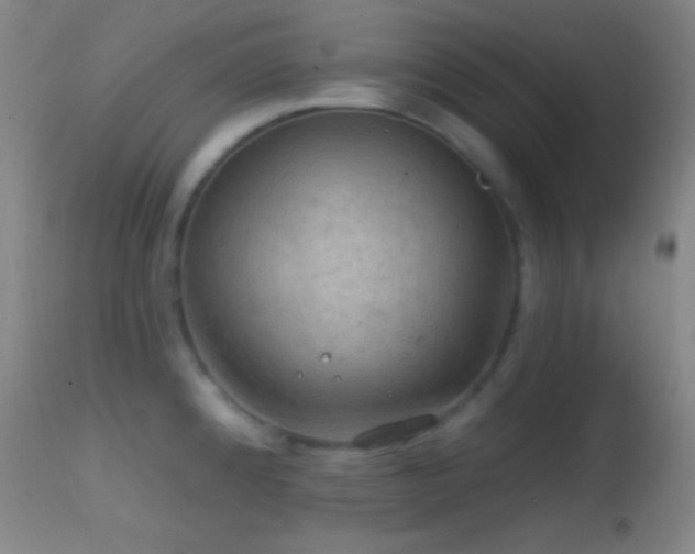 X0000114651192200910201501