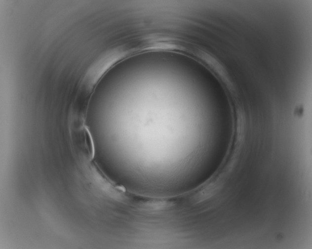 X0000114651193200910201501