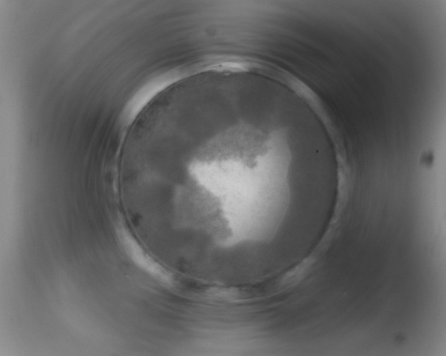 X0000114651194200910201501