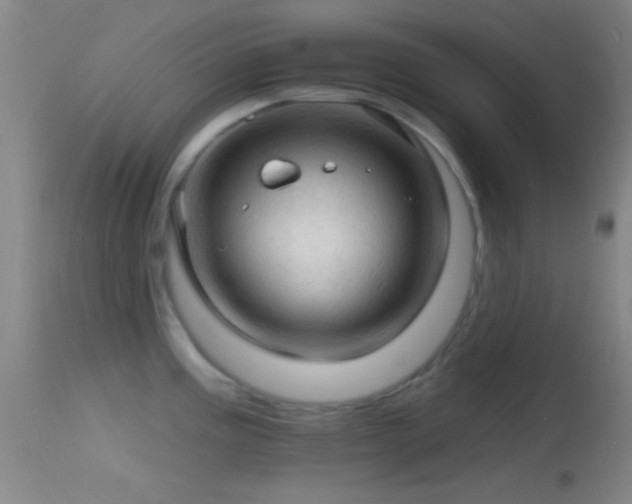 X0000114651195200910201501