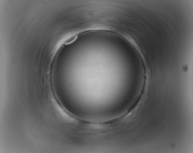 X0000114651197200910201501